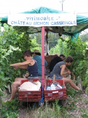 vitimobile château bichon cassignols