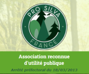 Logo Pro Sylva