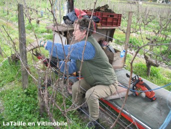 Edith taille la vigne en vitimobile