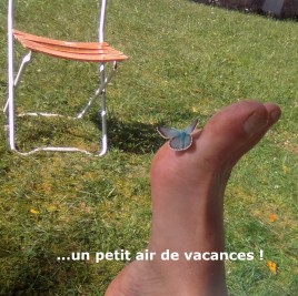 un petit air de vacances!