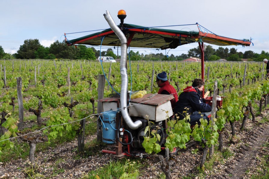 la vitimobile du Château Bichon Cassignols